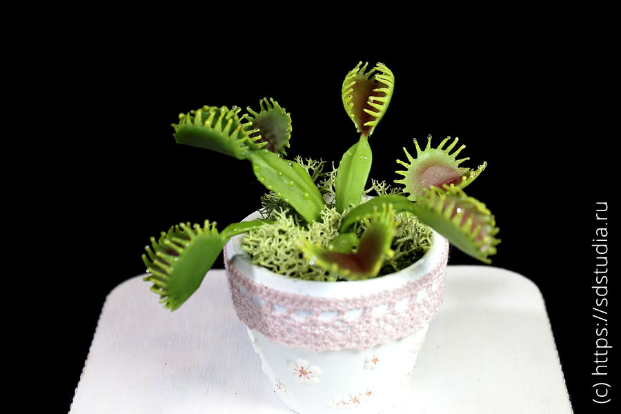 Венерина мухоловка миниатюрная из полимерной глины