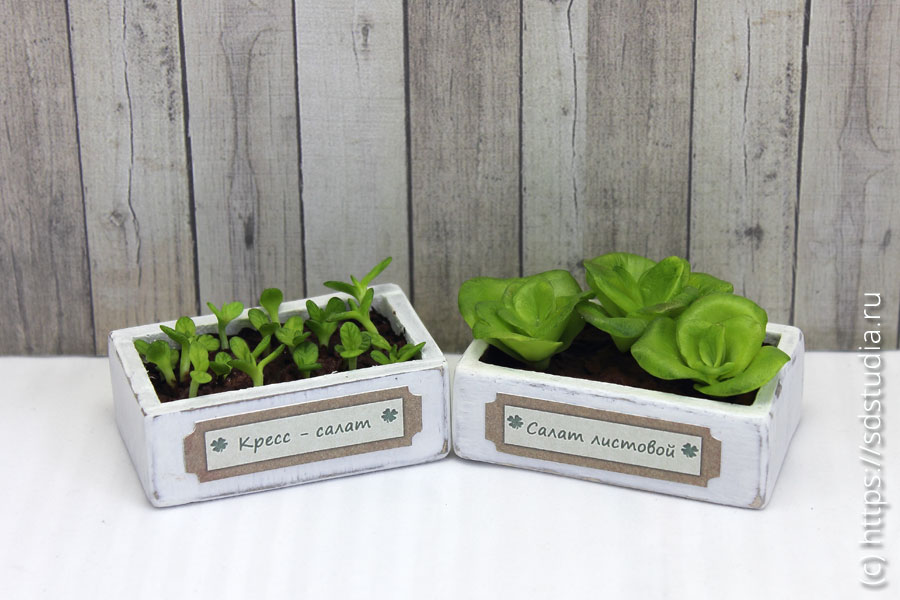 Рассада миниатюрная в деревянных ящиках