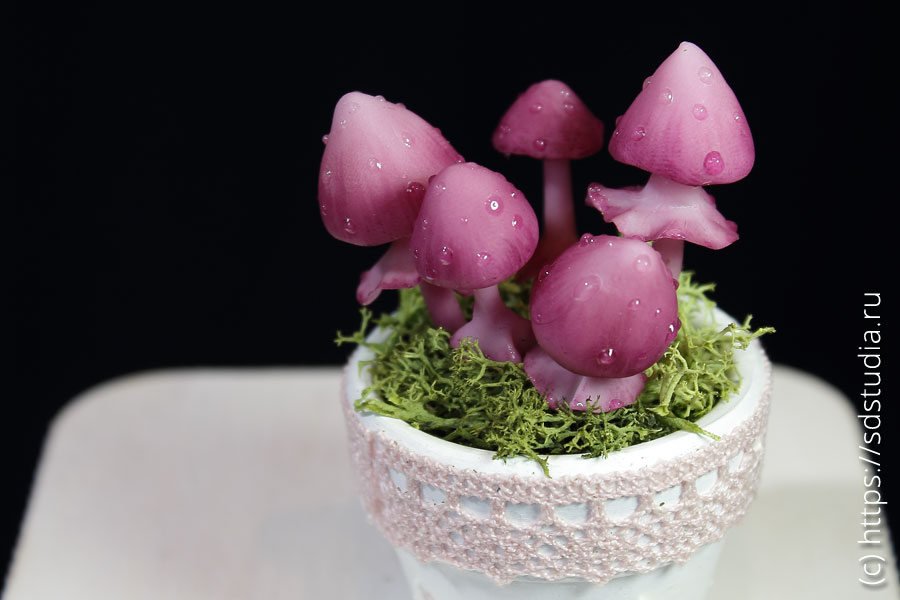 Миниатюрные поганки в декоративном горшочке