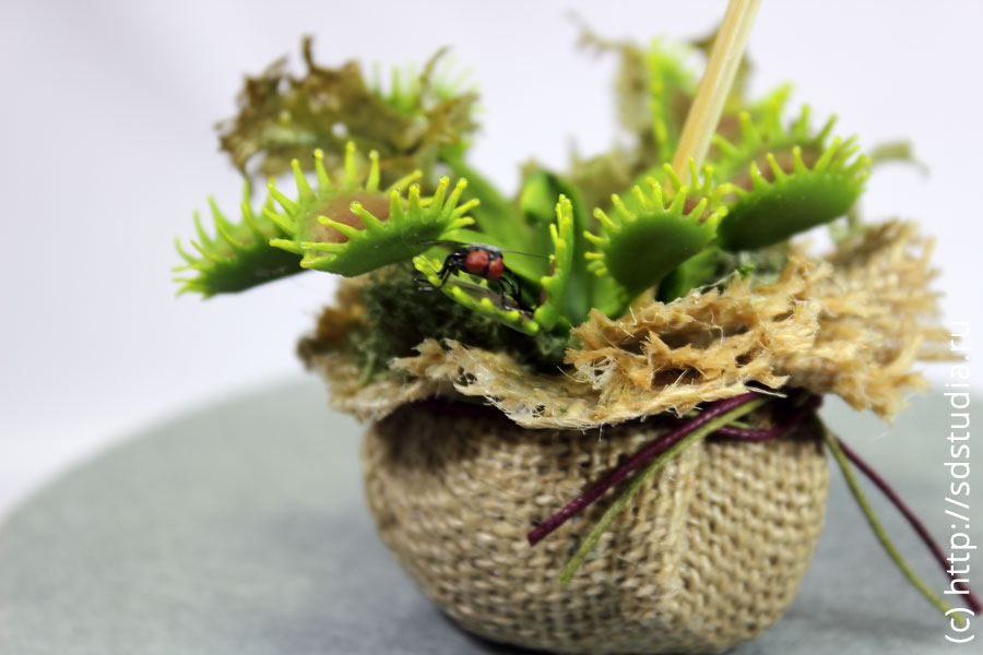 Мухоловки из холодного фарфора