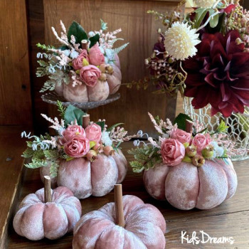 Декоративные тыквы бархатные