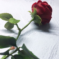 Цветы из холодного фарфора, керамическая флористика