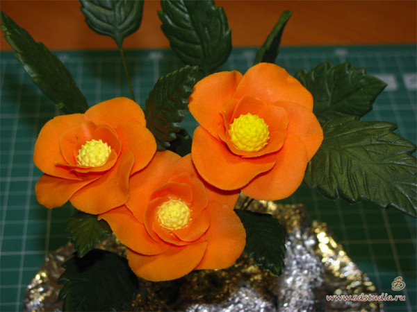 Modena и Hearty Soft смешивание пластиков Modena и Hearty Soft смешивание пластиков