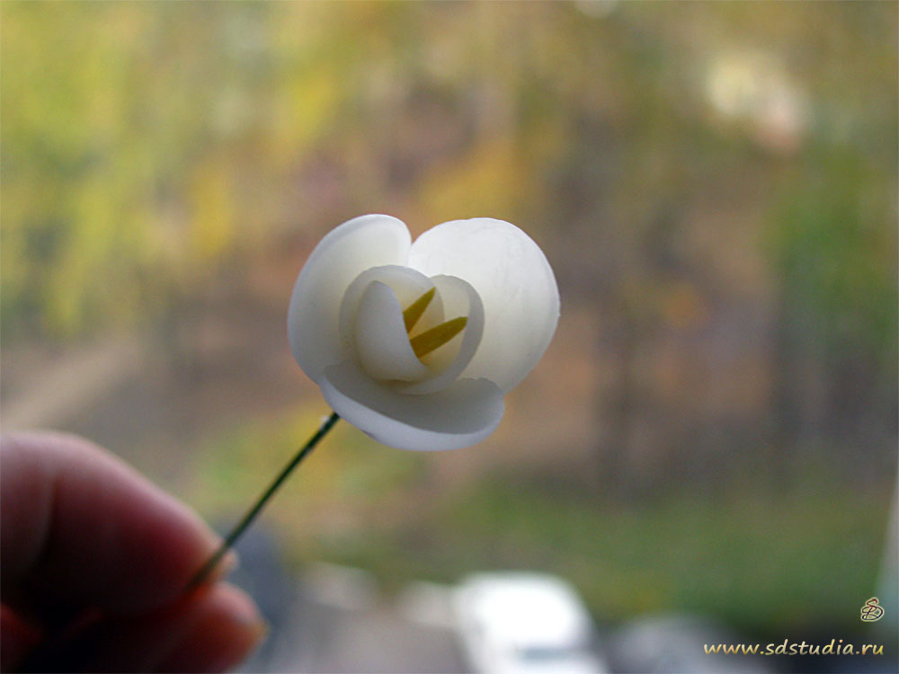 Лепка цветка фрезии из самоотвердевающего пластика Modena вирмы Padico