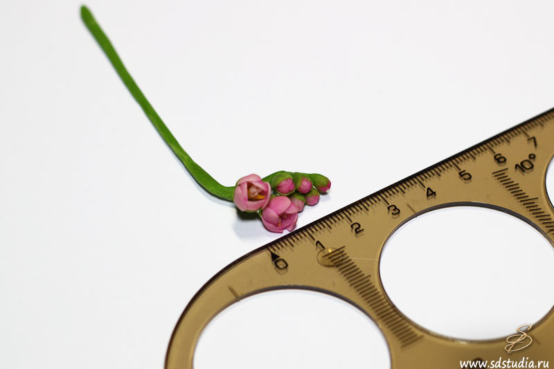 Лепка цветка фрезии из самоотвердевающего пластика Modena вирмы Padico