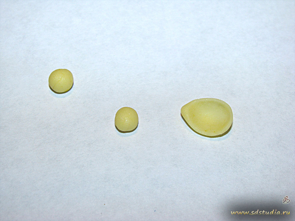 Лепка цветка фрезии из самоотвердевающего пластика Modena вирмы Padico