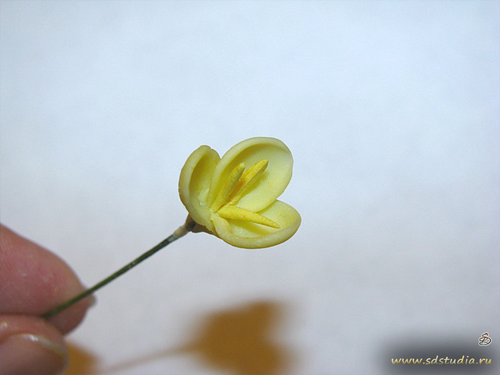 Лепка цветка фрезии из самоотвердевающего пластика Modena вирмы Padico